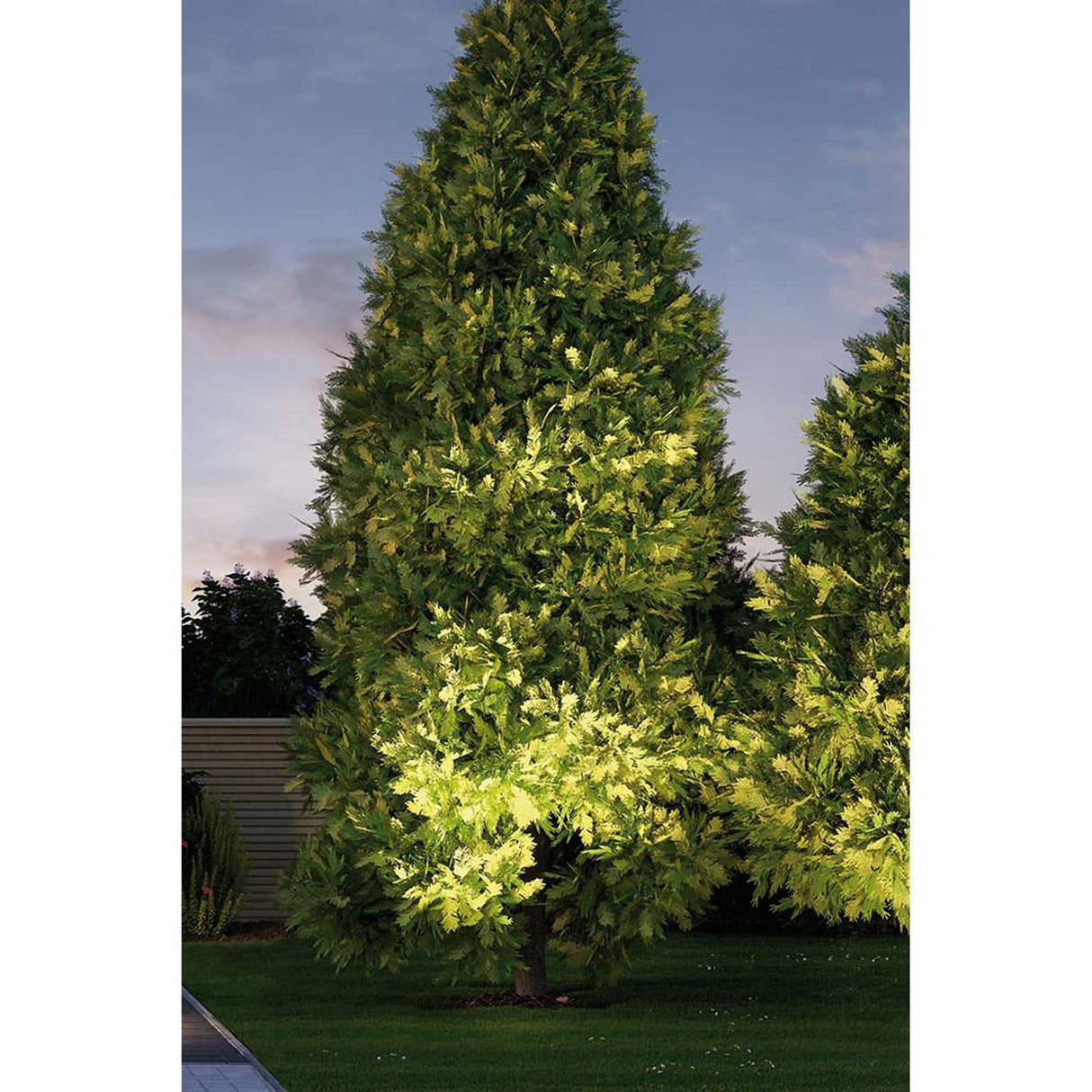 LED Luminaire à encastrer de sol Plug & Shine IP67 24V 609lm 3000K