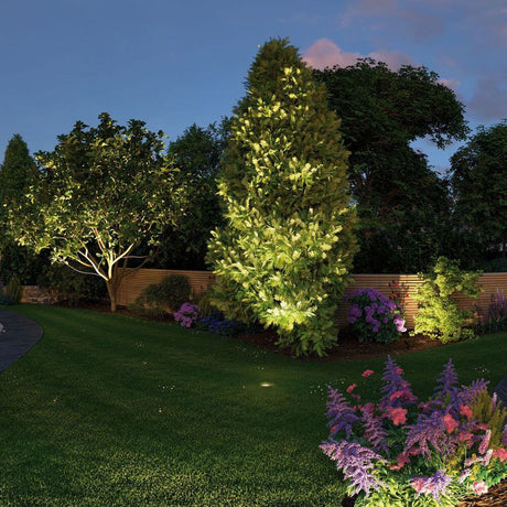 LED Plug & Shine udendørs spotlight Sting 100° IP67 3000K antracit lyser haveplanter og træer om natten.