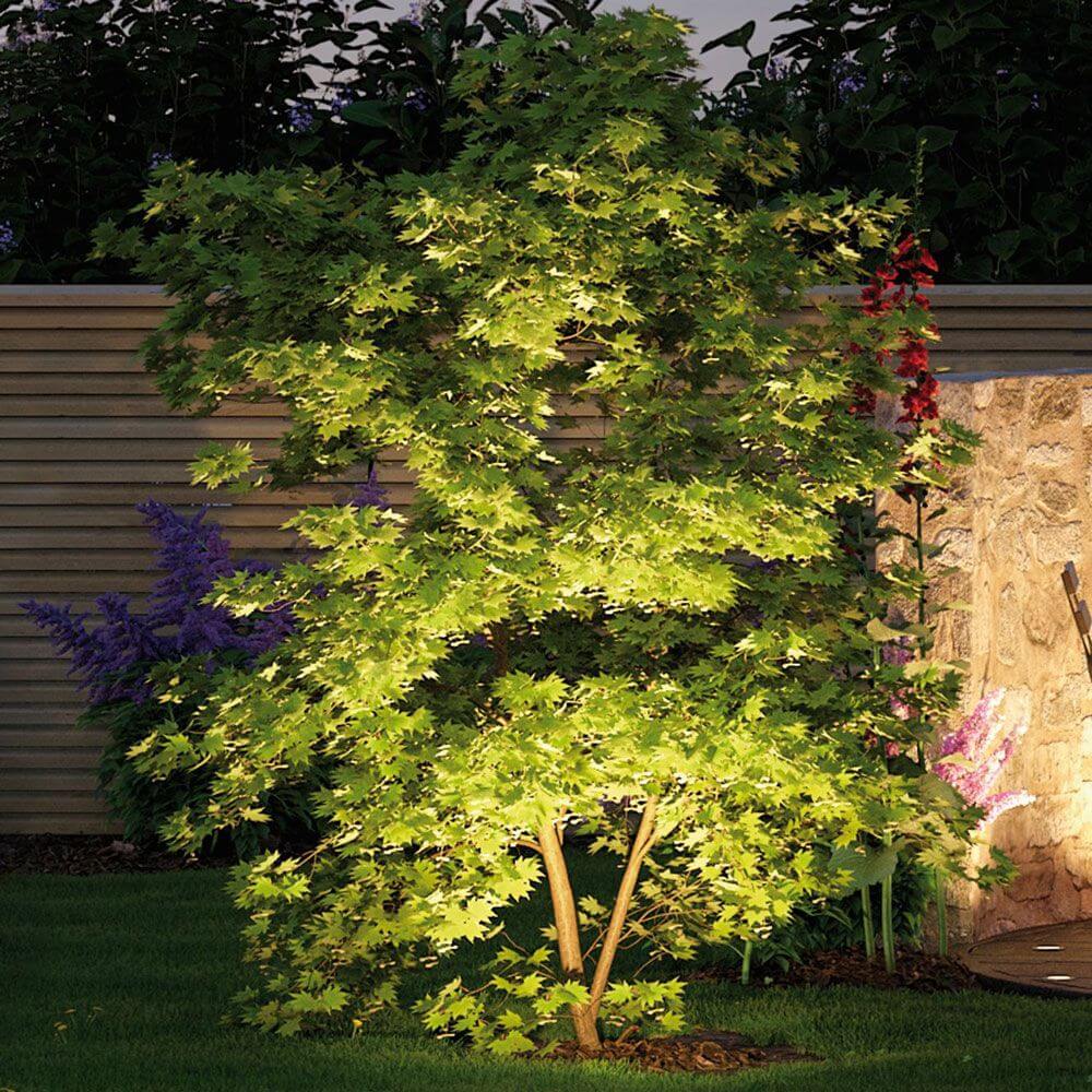 LED Plug & Shine Außenstrahler Sting 100° IP67 3000K Anthrazit beleuchtet einen Baum im Garten.