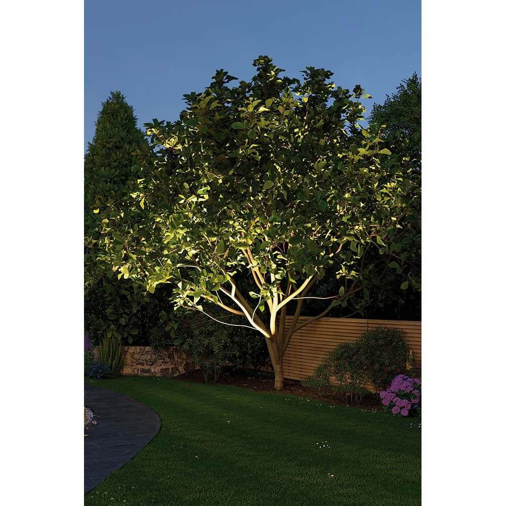 LED Plug & Shine Außen-Einbauleuchte IP67 24V 609lm 3000K beleuchtet einen Baum im Garten bei Nacht.