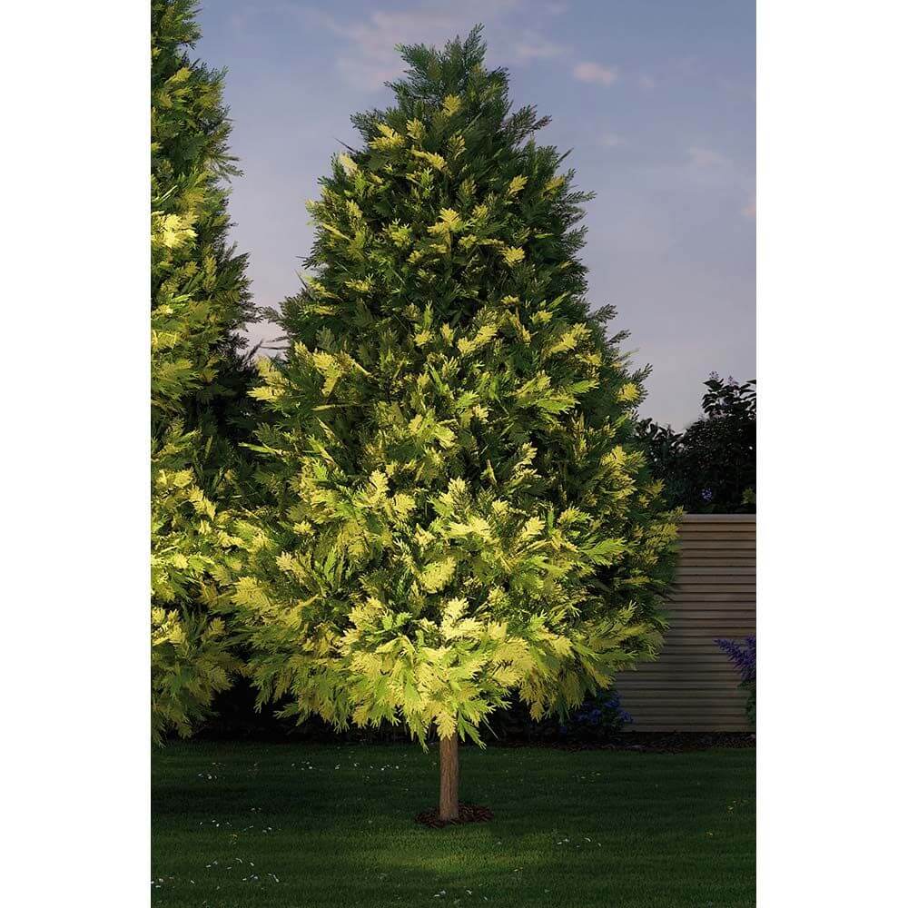 LED Plug & Shine Außen-Einbauleuchte IP67 24V 609lm 3000K an einem leuchtenden Baum im Freien.