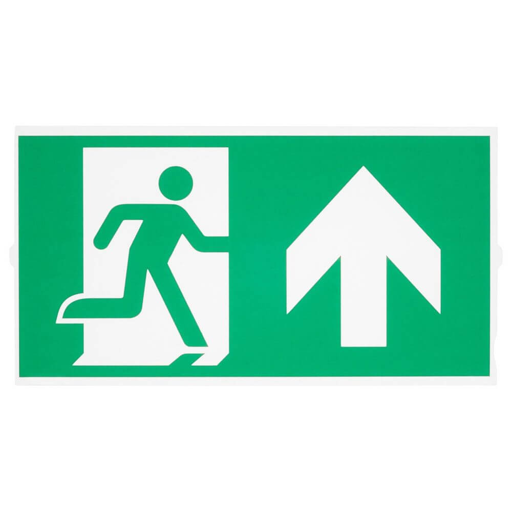 P-Light Notausgangsschild mit Piktogramm und Pfeil nach oben für klare Wegweisung in Notfallsituationen.