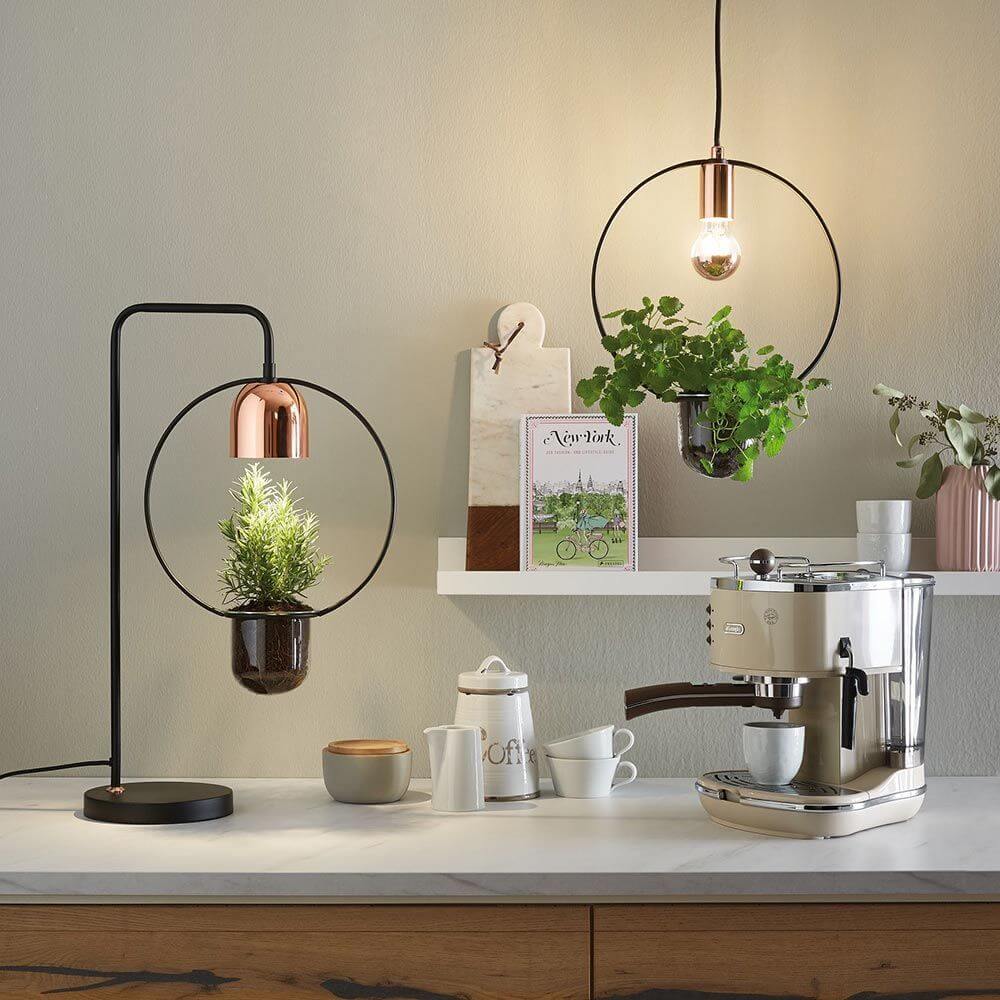 Pendelleuchte Pflanzenleuchte Neordic Tasja Schwarz, Kupfer mit Pflanze im Urban Jungle Stil auf Küchentheke.