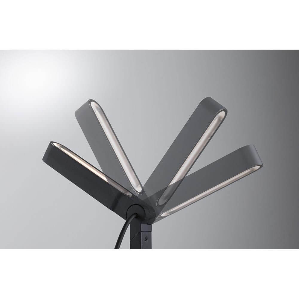 Plug & Shine LED Einzelstrahler Ito Anthrazit, flexibel einstellbar mit modernem Design und IP65 Schutz.