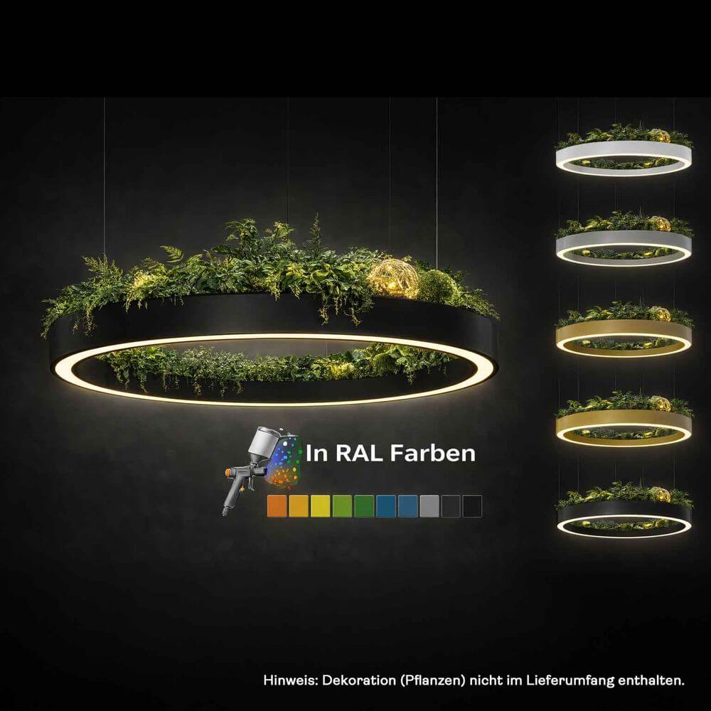 Pro Light LED Ring Pendelleuchte mit integrierter Pflanzenwanne - Sonderbau nach Maß in RAL Farben.