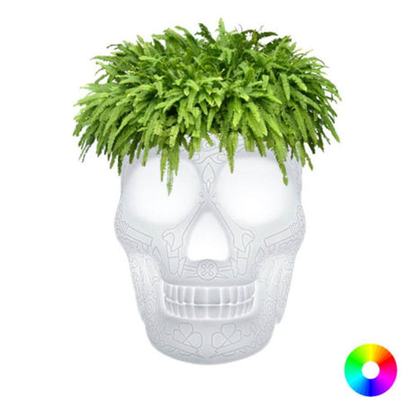Mexico Akku LED Topf mit Fernbedienung, Pflanzgefäß in Totenschädel-Design mit grünen Pflanzen.