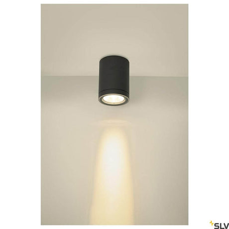Enola Round LED takmontert lampe CCT utendørs
