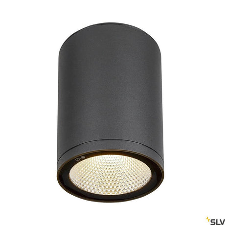 Enola Round LED takmontert lampe CCT utendørs