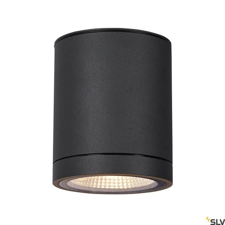 Enola Round LED takmontert lampe CCT utendørs