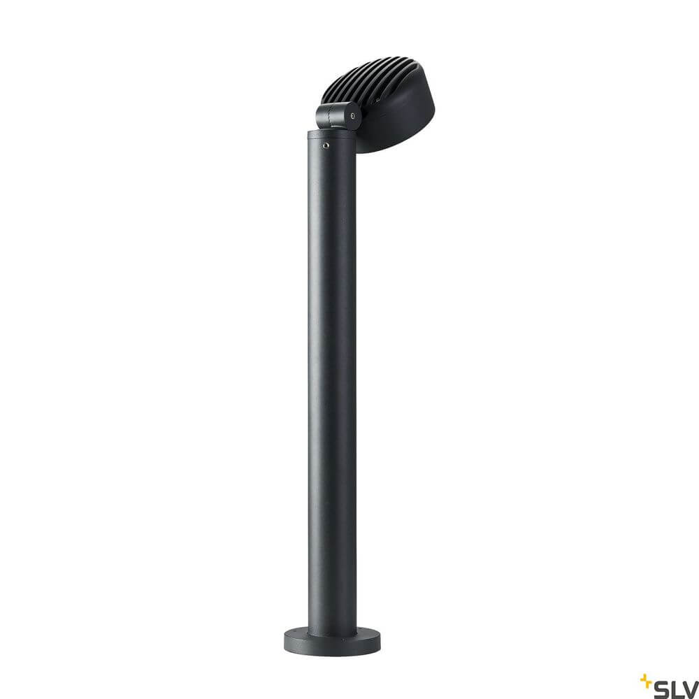 Eskina 80 Pole Fl 3000/4000K Anthrazit IP65 moderne Außenbeleuchtung in Anthrazit.