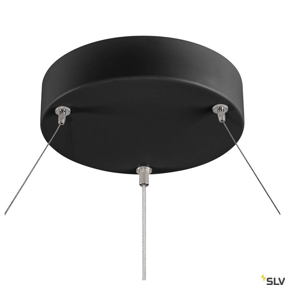 Pendelleuchte One 80 Dali in Schwarz, Halterung mit zwei Leitungen, moderne Lichtgestaltung.