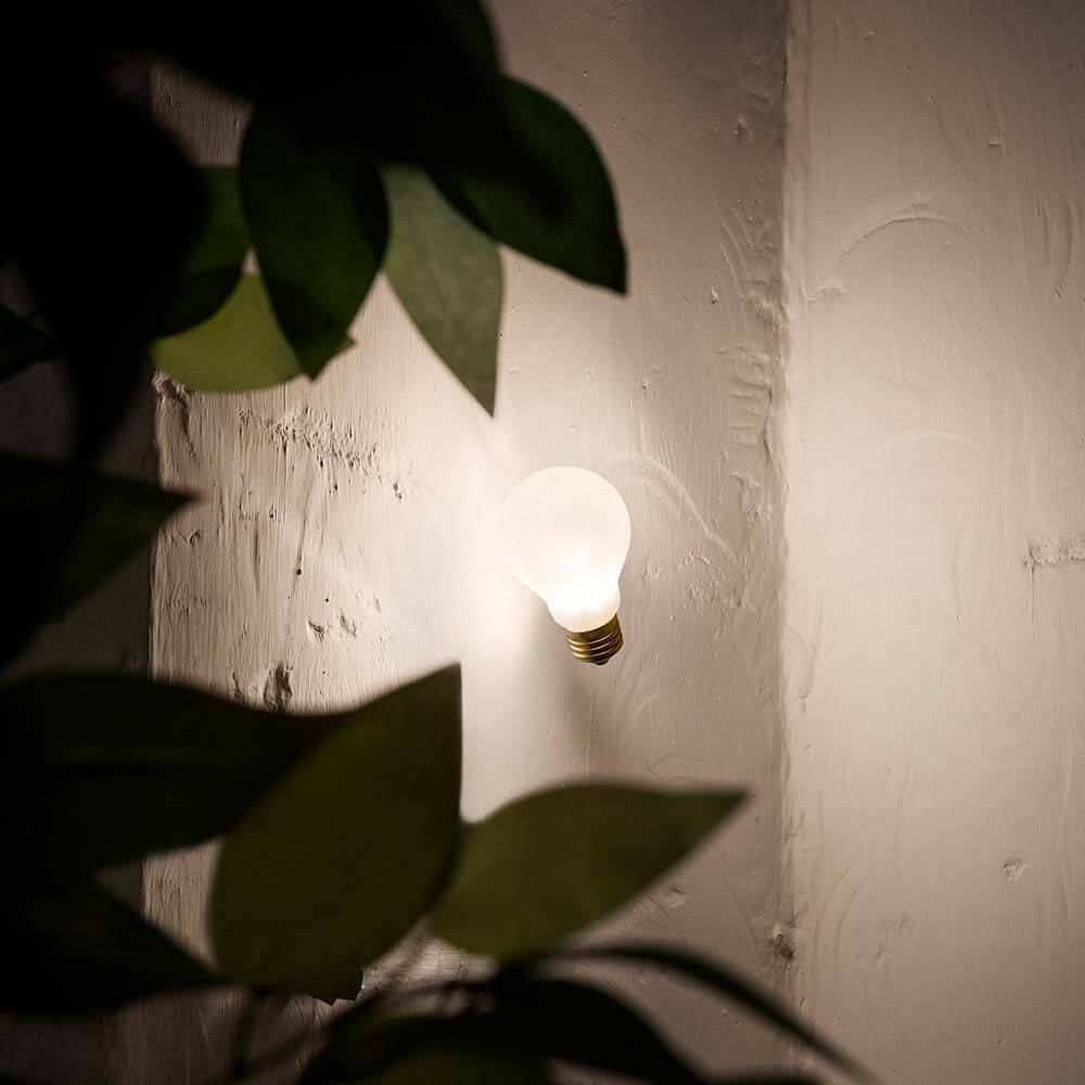 Slamp Einbau-Wandlampe Glühbirne Idea Applique Weiß an einer Wand mit Pflanzen im Vordergrund.