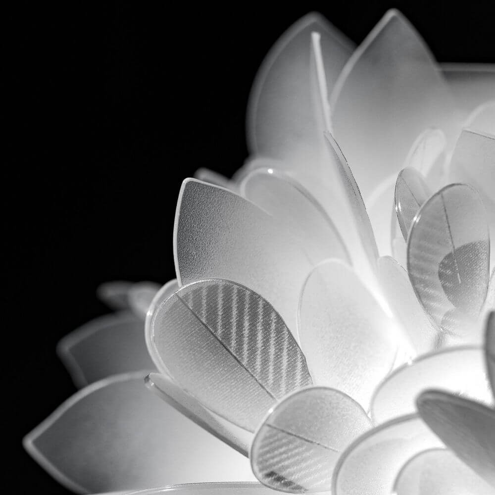 Detailaufnahme der Slamp Wand- & Deckenlampe Veli Foliage mit transparenten Blütenblättern auf schwarzem Hintergrund.