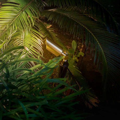 Spießleuchte Andy Satin-Gold IP65 zwischen tropischen Pflanzen im Garten beleuchtet.