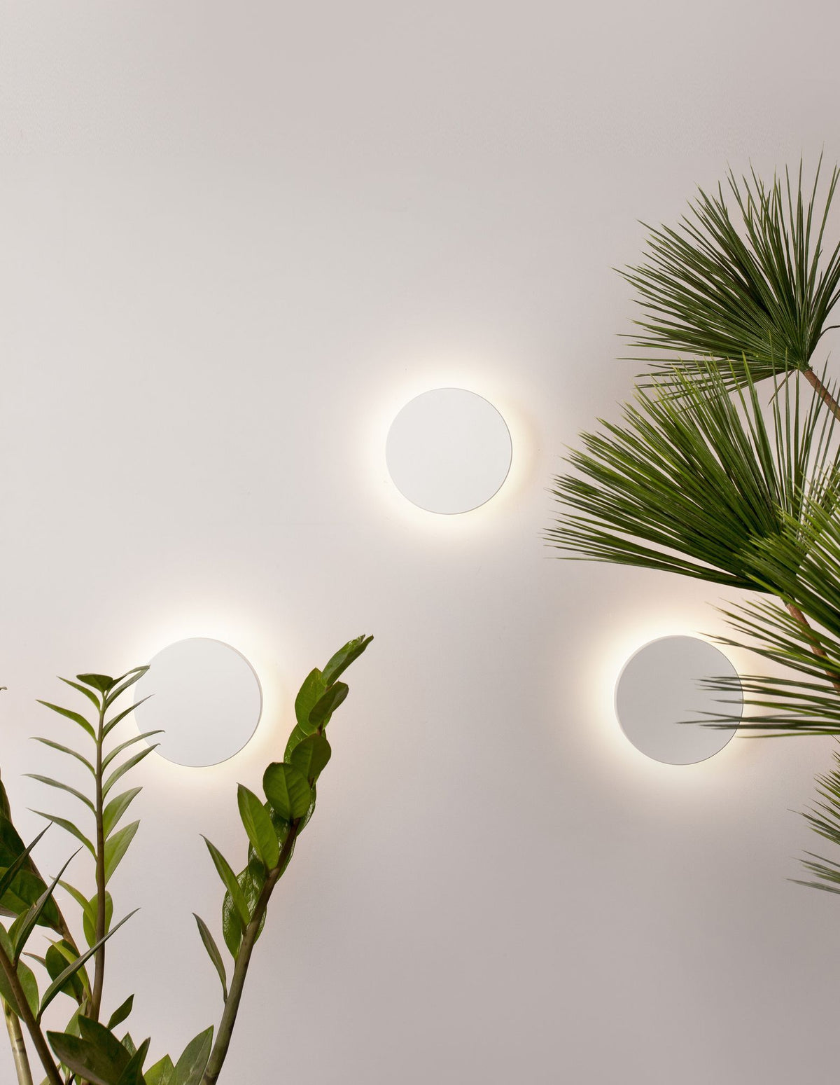Suite LED Außenwandleuchte 3000K IP54 (7)