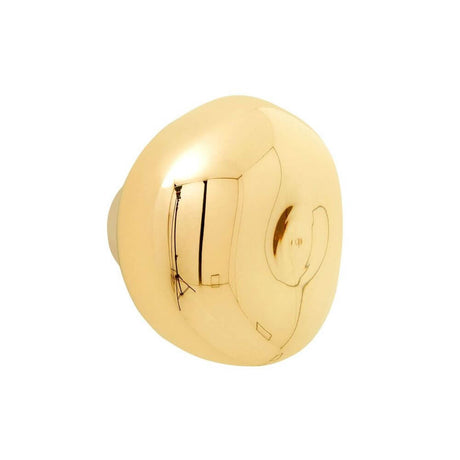 Tom Dixon Melt LED organic wall or ceiling lamp