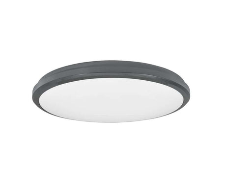 Tommy LED Udendørs væglampe rund 3000K mørkegrå IP54 i minimalistisk design af Nova Luce.