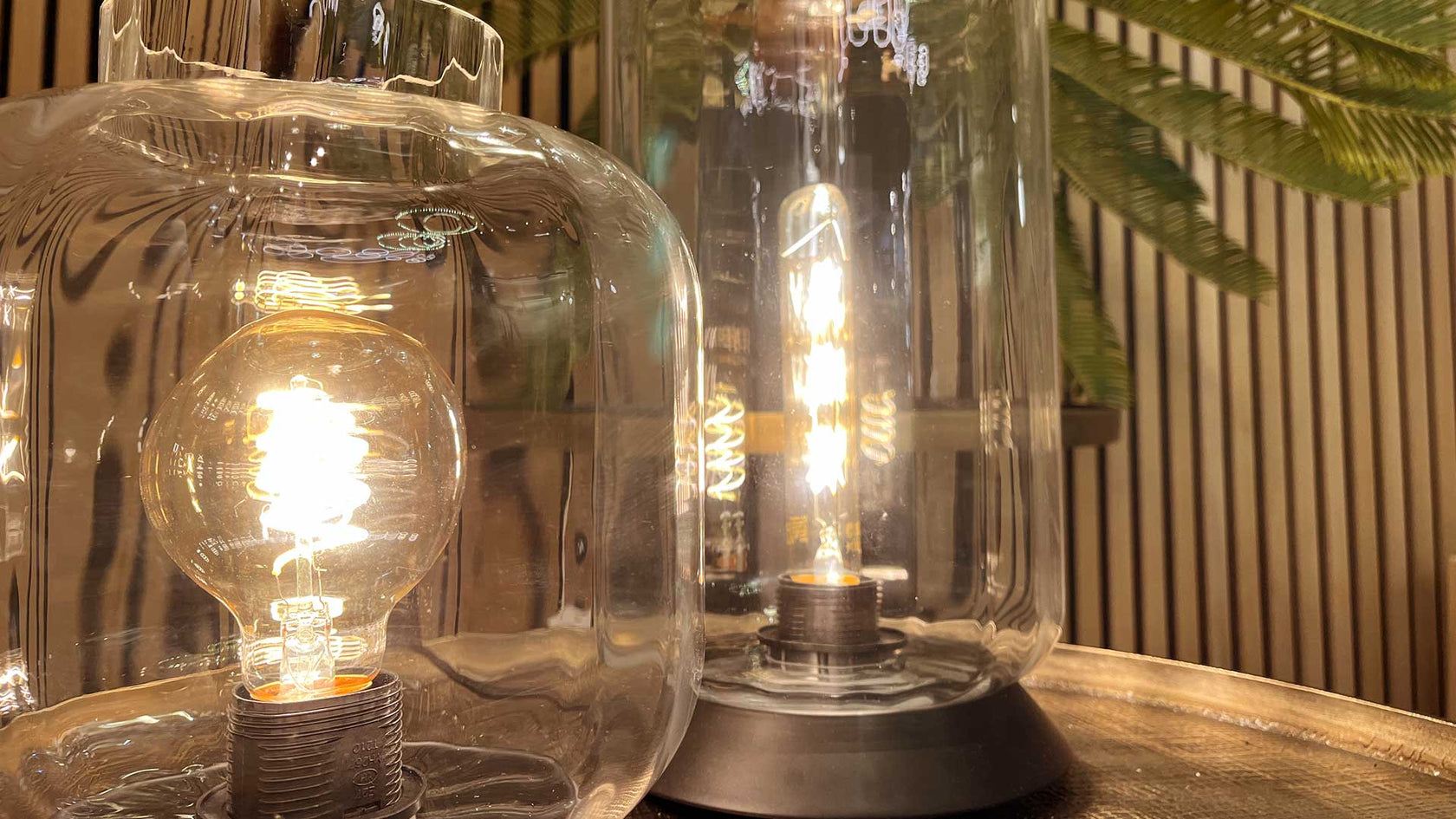 Moderne lampen in gläsernen Leuchten auf einem Tisch, warmes Licht und Zimmerpflanzen im Hintergrund.