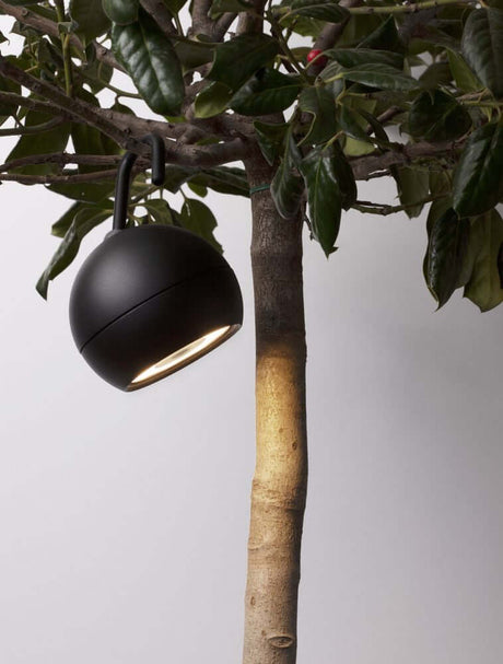 Venedo LED Außenhängeleuchte 3000K Schwarz IP54 an Baum für Balkon, Terrasse und Garten