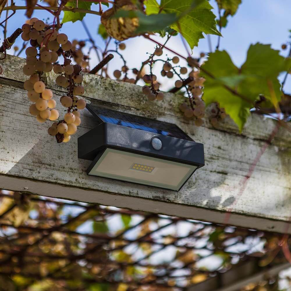 LED-Wandleuchte Arrow mit Solarpanel und Bewegungsmelder an einem Holzgestell mit Trauben.