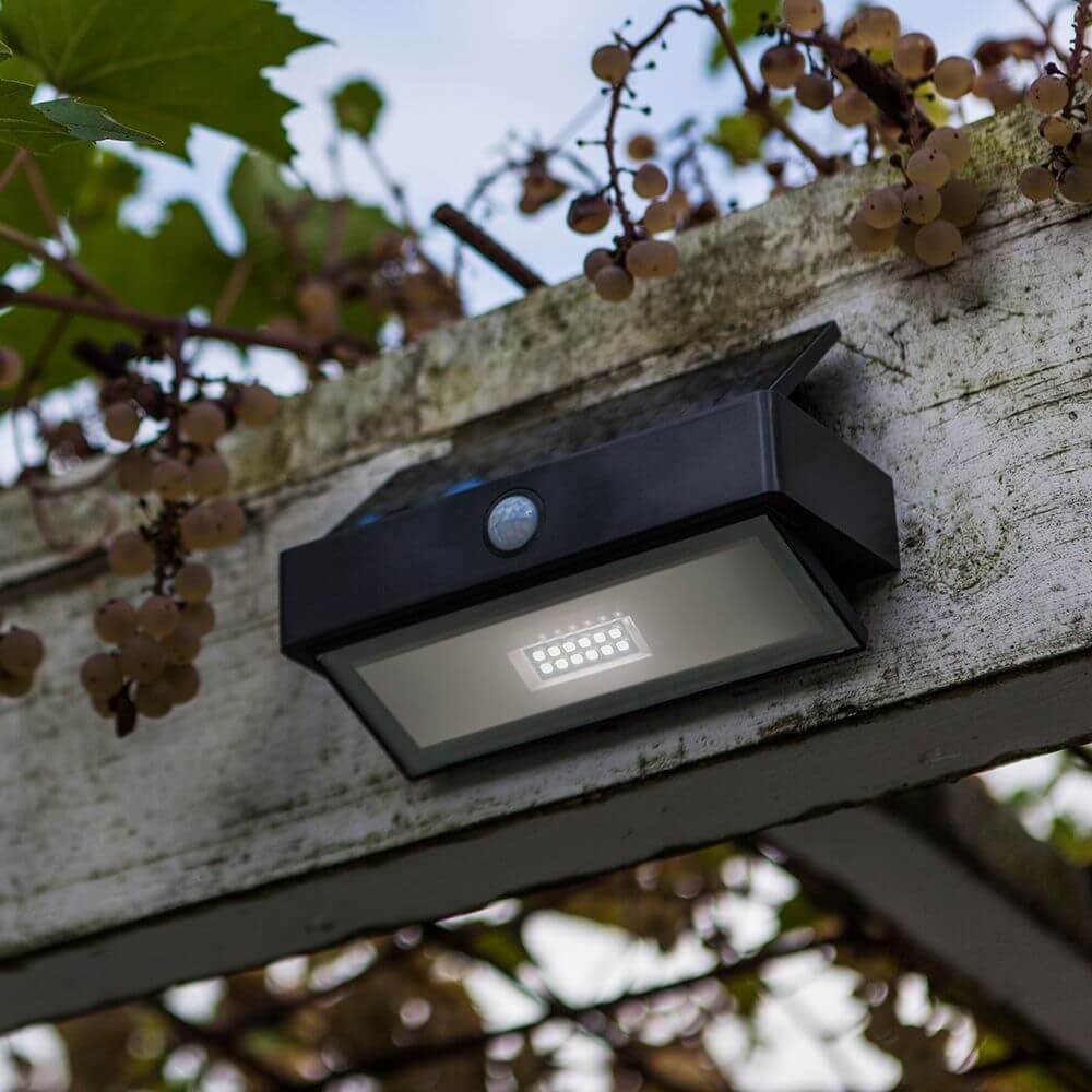 LED-Wandleuchte Arrow mit Solarpanel und Bewegungsmelder an einem Holzpfosten unter Weintrauben.