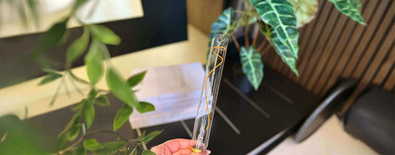 Person hält Glas mit goldenen Verzierungen in einem modernen Raum voller Pflanzen und Möbel.