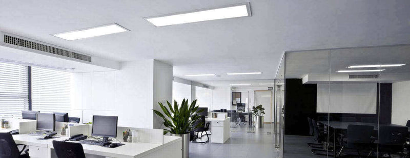 Moderne Büroumgebung mit hellen Deckenleuchten und Pflanze im Vordergrund, ideal für effizientes Arbeiten.