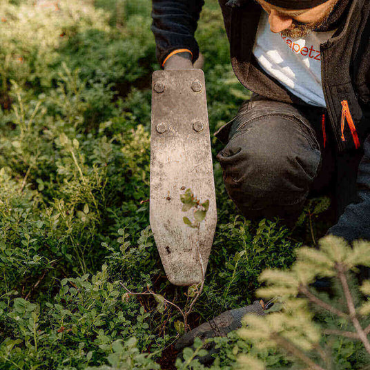 Ein Gärtner arbeitet im Garten mit einer Schaufel, um Pflanzen in der Erde zu bearbeiten.