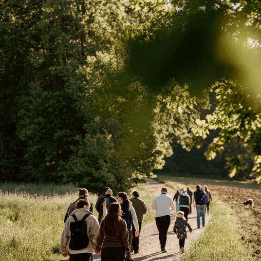 Gruppe von Menschen wandert auf einem Weg durch die Natur, umgeben von Bäumen und frischem Grün.