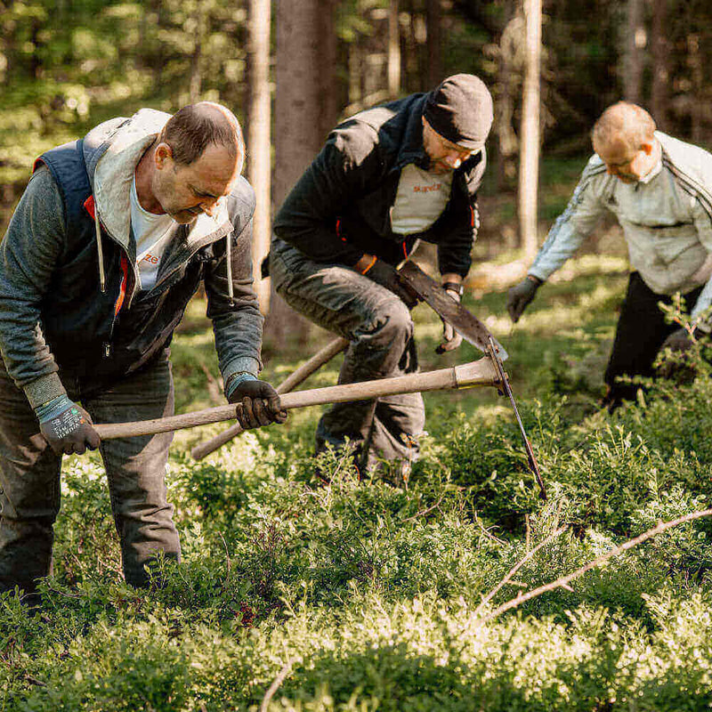 Männer arbeiten gemeinsam im Wald mit Werkzeug, um Pflanzen zu pflegen und die Natur zu erhalten.