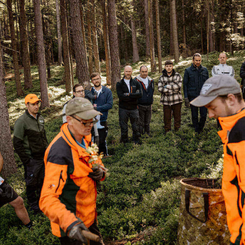 An einem sonnigen Tag beobachten Fachleute die Waldpflege in einem dichten Waldgebiet.