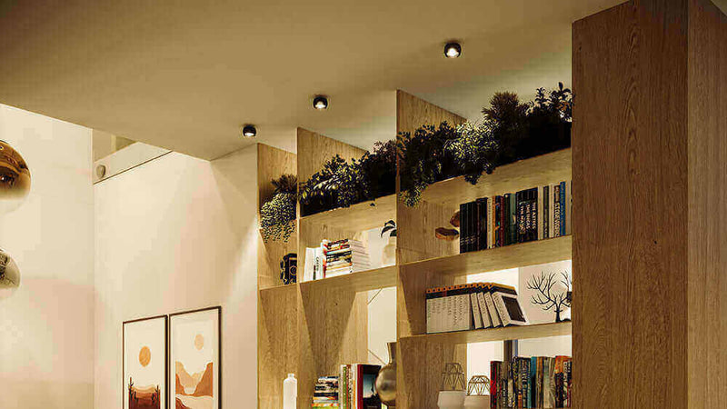 moderne Wohnkultur mit Bücherregal und Pflanzen, stilvolle Innenausstattung für gemütliche Atmosphäre