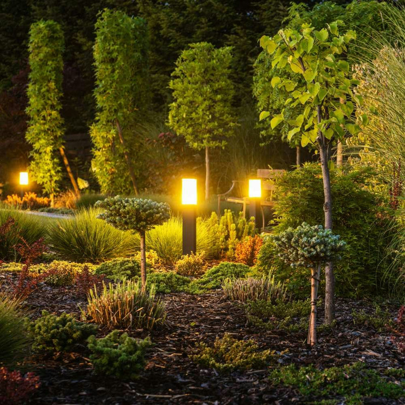 Schöner Garten mit LED-Lichtern und verschiedenen Pflanzen bei Nacht, ideal für entspannende Abende.