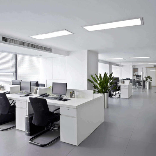 Modernes Büro mit weißen Tischen, Pflanzen, Computern und natürlichem Licht von Fenstern.