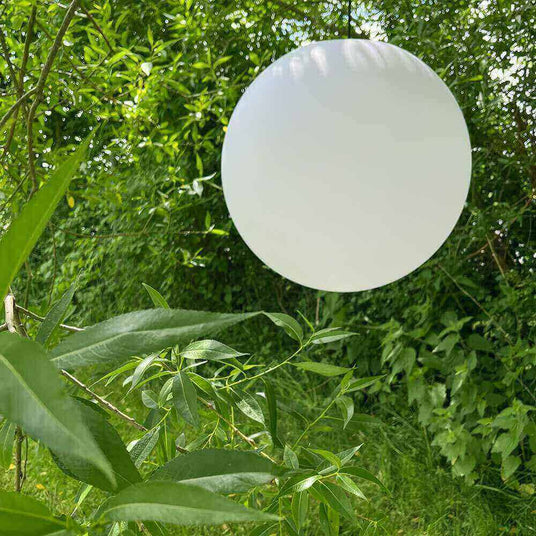 Weißer runder Ball zwischen grünen Zweigen, ideal für kreative Naturdekoration. s.luce im Bild.