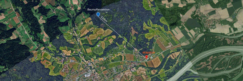 Karte von Baumfällstation und Umgebung mit klaren Wegen und geographischen Merkmalen.