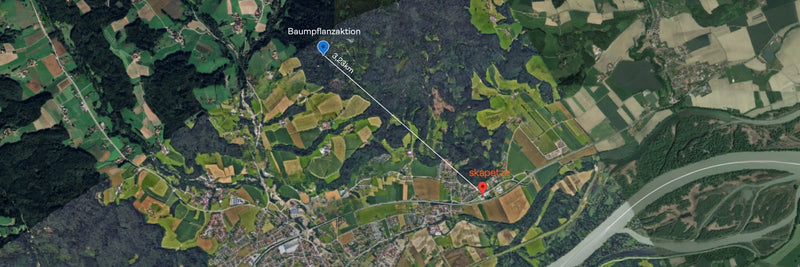 Karte von Baumfällstation und Umgebung mit klaren Wegen und geographischen Merkmalen.