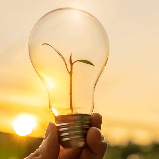 nachhaltigkeit-image1.png - skapetze®