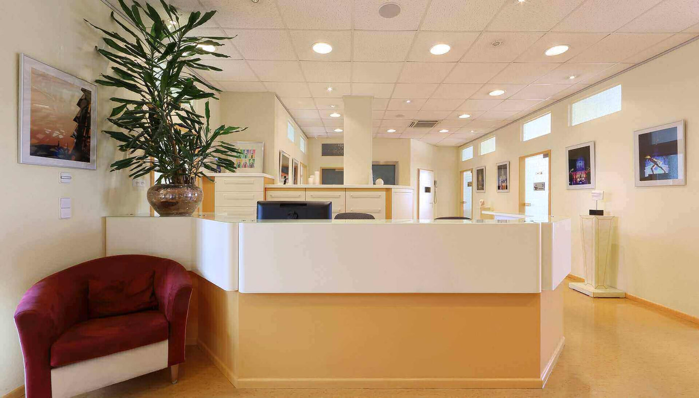 Modernes Empfangsbereich mit Pflanzen, Kunstwerken und rotem Sessel in hellen Tönen.