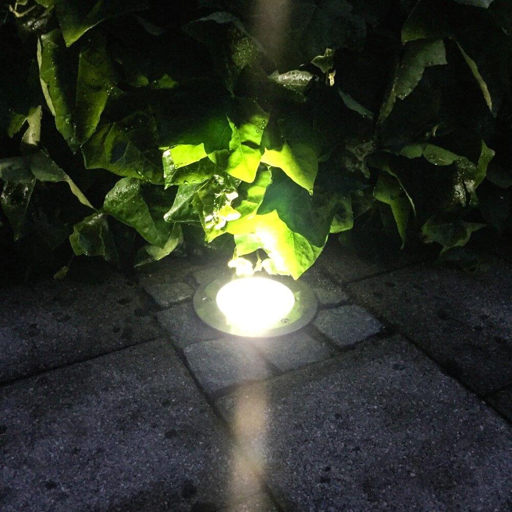 Runder Level Bodeneinbaustrahler in der Erde, beleuchtet von grünem Blattwerk, IP54 Schutz.