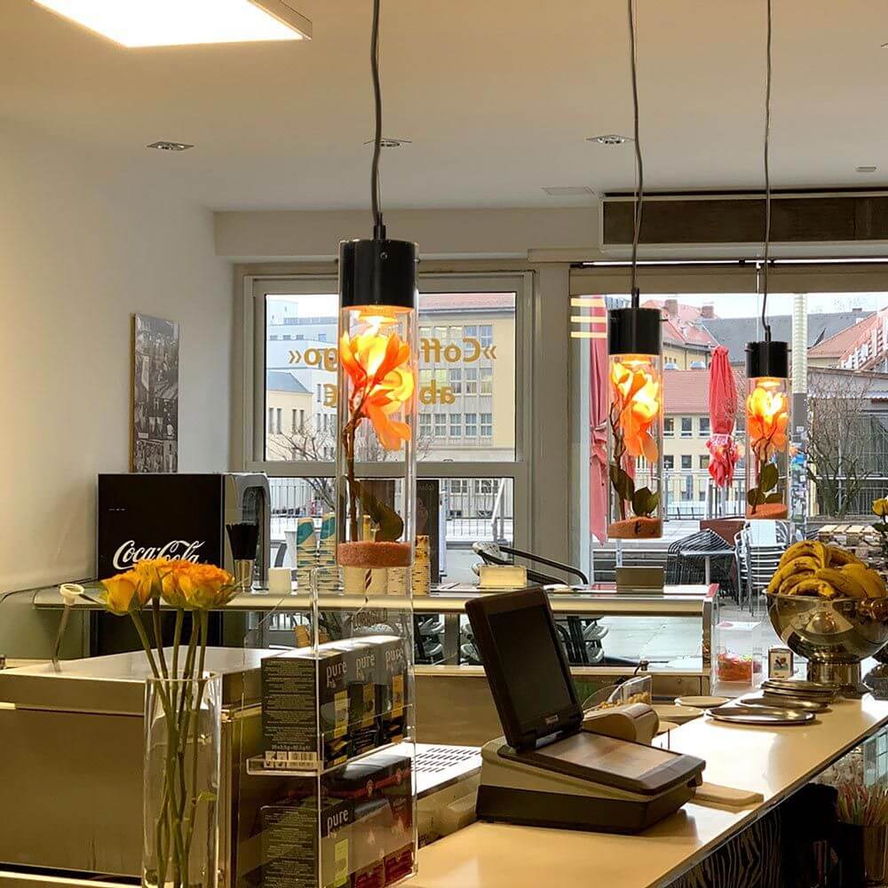 s.luce MyLight Hängeleuchte im Café mit dekorativen Objekten im Schauzylinder