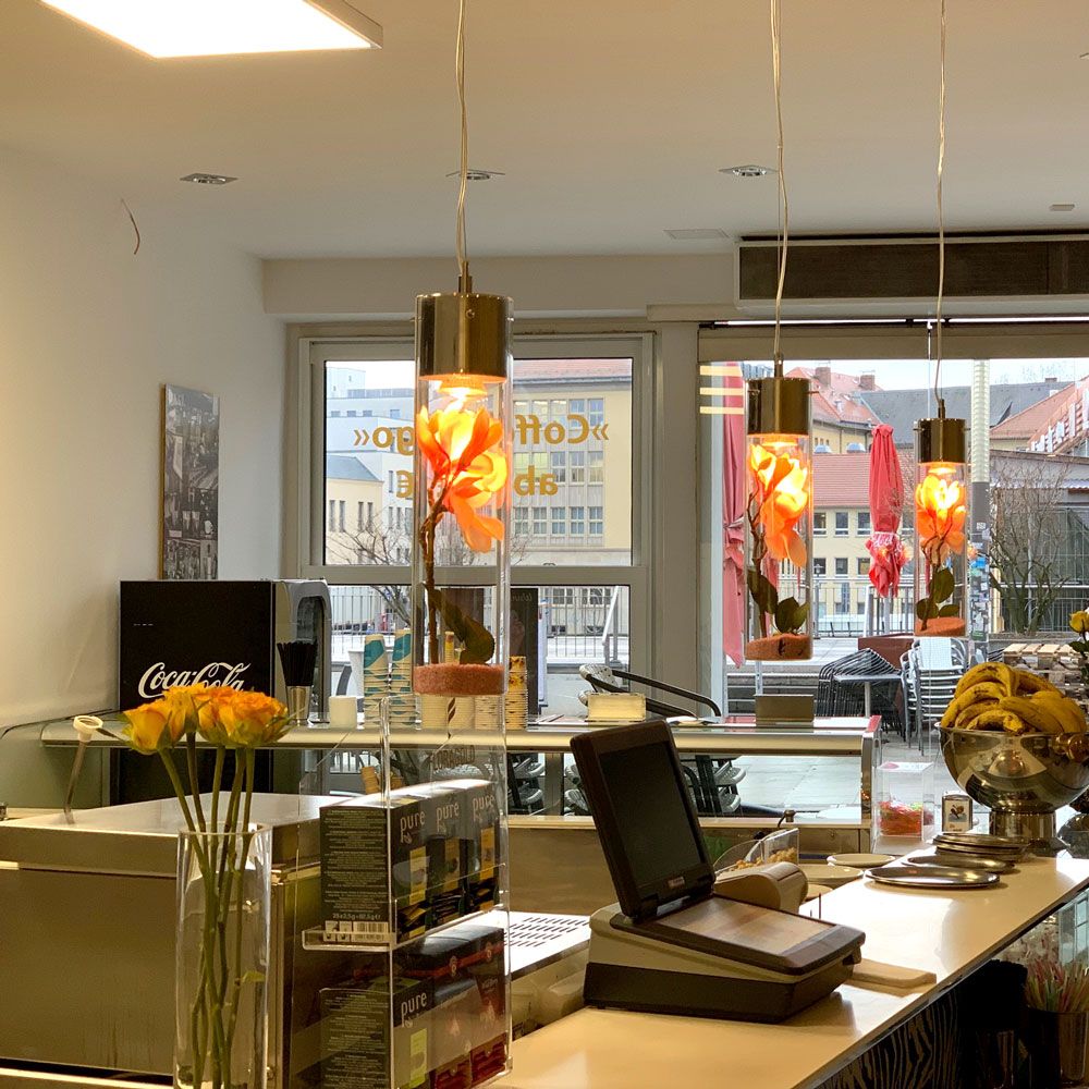 s.luce MyLight Hängeleuchte im Café mit stilvollen Glaskolben und kreativen Dekorationen.