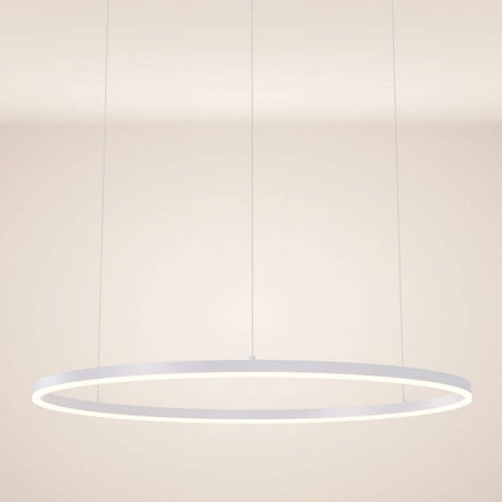 s.luce LED ring pendant lamp Ø 100cm