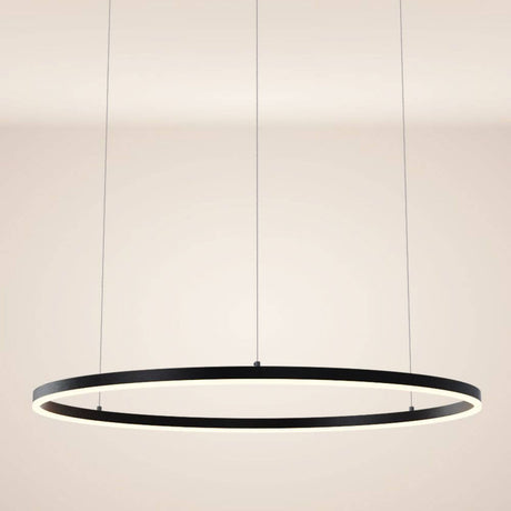 s.luce LED ring pendant lamp Ø 100cm