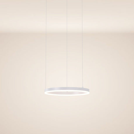s.luce Lampada a sospensione ad anello LED Ø 40 cm