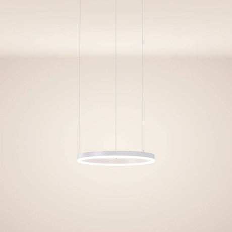 s.luce LED ring pendant light Ø 40cm