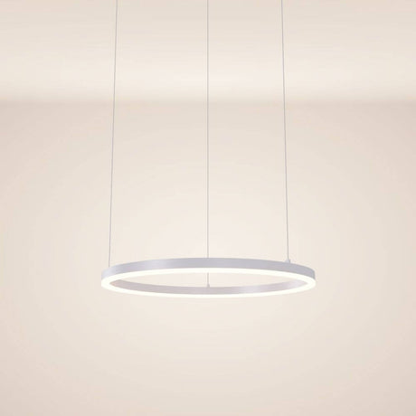 s.luce LED ring pendant light Ø 60cm