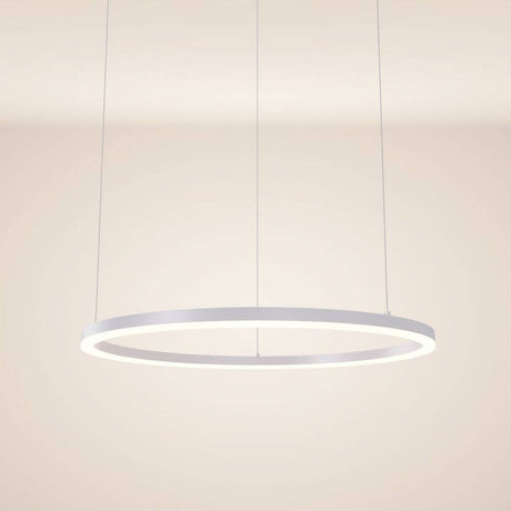 s.luce LED ring hanging lamp Ø 80cm