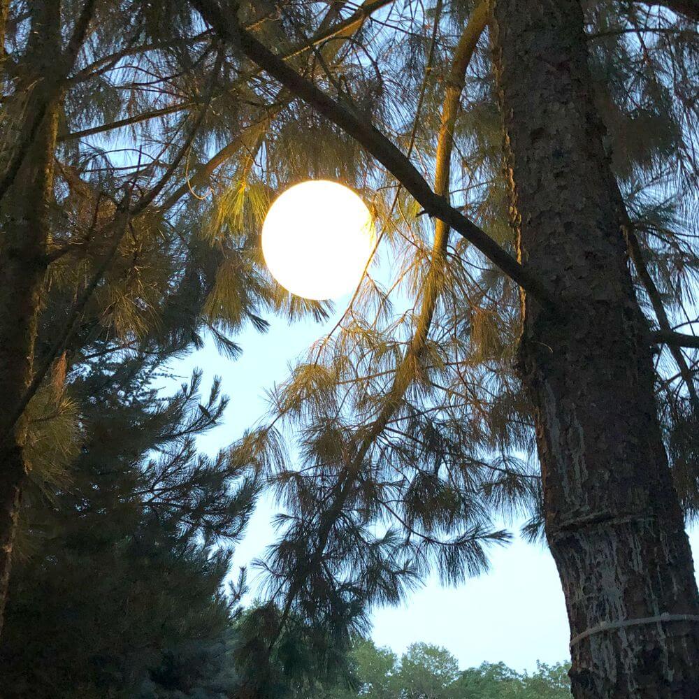 s.luce Lampada a sospensione Globe per interni ed esterni IP54 tra gli alberi all'aperto