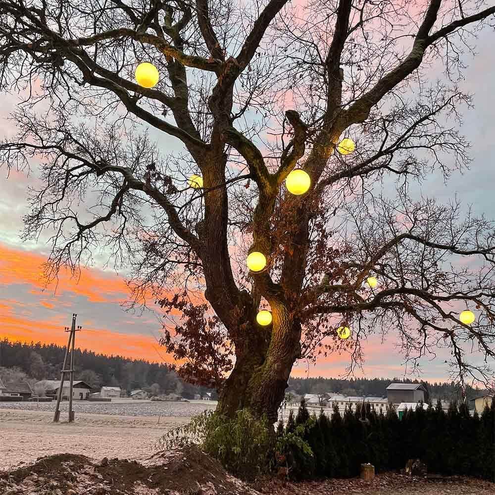 s.luce Globe Hänge-Kugellampe für Innen & Außen IP54 hängt an einem Baum im Sonnenuntergang.